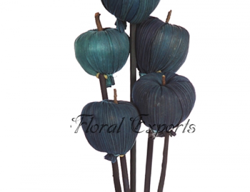 MAIZE APPLE ON STICK BLUE 5PCS BUNCH