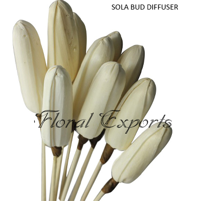 Sola Bud Reed Diffuses