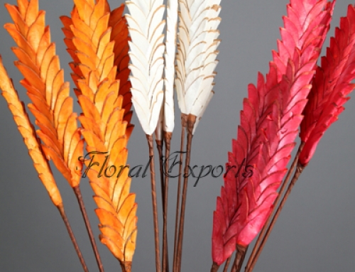 SOLA CHIPS PINE FLAT 60CM ASSORTED COLOR
