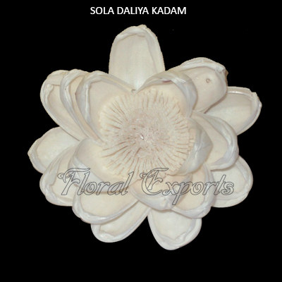 Sola Dahlia Kadam Flower 8cm