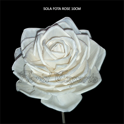 Sola Fota Rose 10cm Natural on Stick