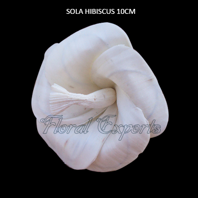 Sola Hibiscus 10cm Natural - Sola Flowers Wholesale Suppliers
