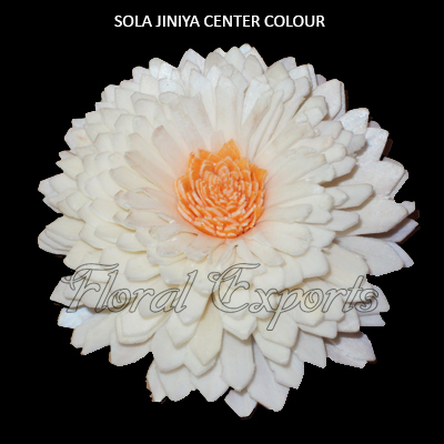 Sola Zinniya Center Colour 10cm - Wholesale Sola Flowers Suppliers