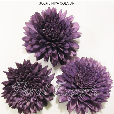 Sola Zinia 8cm Color - Bulk Sola Flowers Supplies
