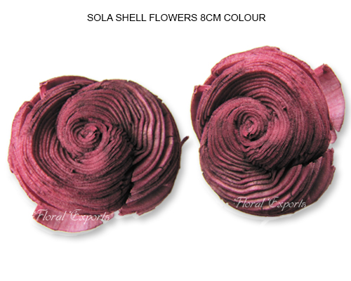 Sola Shell Flowers 8cm Color - Wholesale Sola Flowers Manufacturer