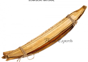 Sona Boat Natural - Wholesale Dried Florist Supplies