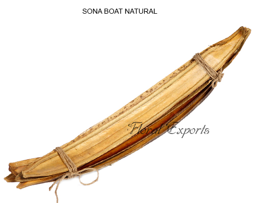 Sona Boat Natural - Wholesale Dried Florist Supplies