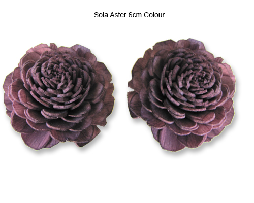 Sola Aster 6cm Wine Colour - Sola Flowers Manufacturer