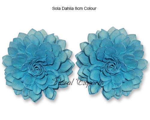 Sola Dahlia 8cm Colour - Bulk Sola Eco Flowers Wholesale Supplies