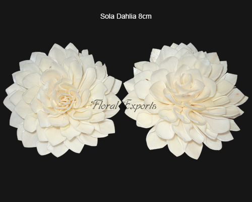 Sola Dahlia 8cm Natural - Bulk Sola wood Flowers Suppliers