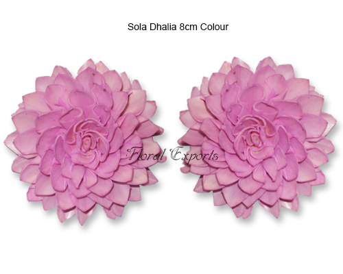 Sola Dahlia 8cm Color - Bulk Sola Eco Flowers Wholesale