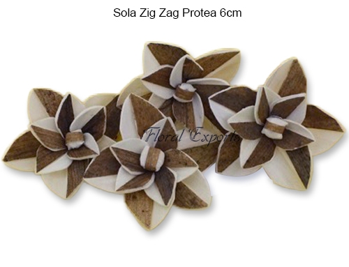 Sola Zig Zag Protea 6cm