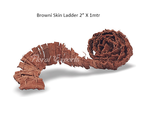 Browni Skin Ladder 2” X 1mtr - Small Bird Toys