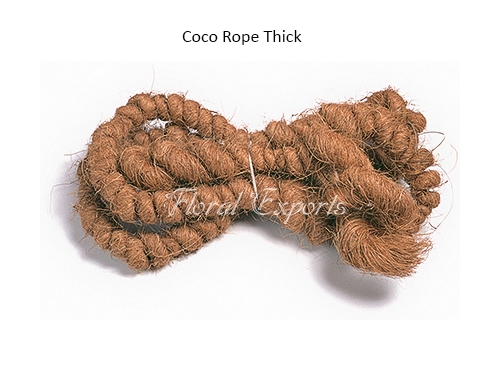 Coco Rope Thick – Parrot Toys