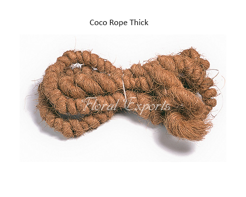 Coco Rope Thick - Parrot Toys