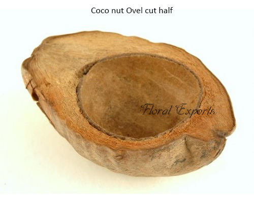 Coco nut Ovel cut half - Pet Bird Toy