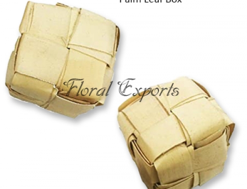 Palm Leaf Box – Bird Toy Wholesale